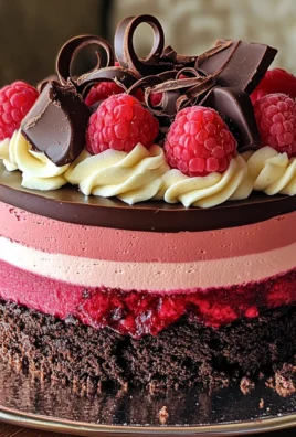 Chocolate Raspberry Mousse Cake